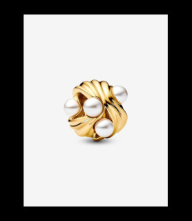 PANDORA Charm Vagues Abstraites 763915C01