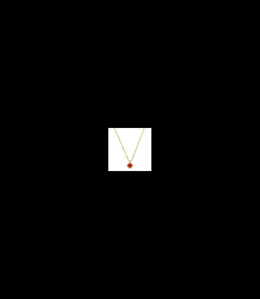 CHARLES GARNIER
