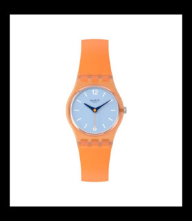 SWATCH VIEW FROM A MESA