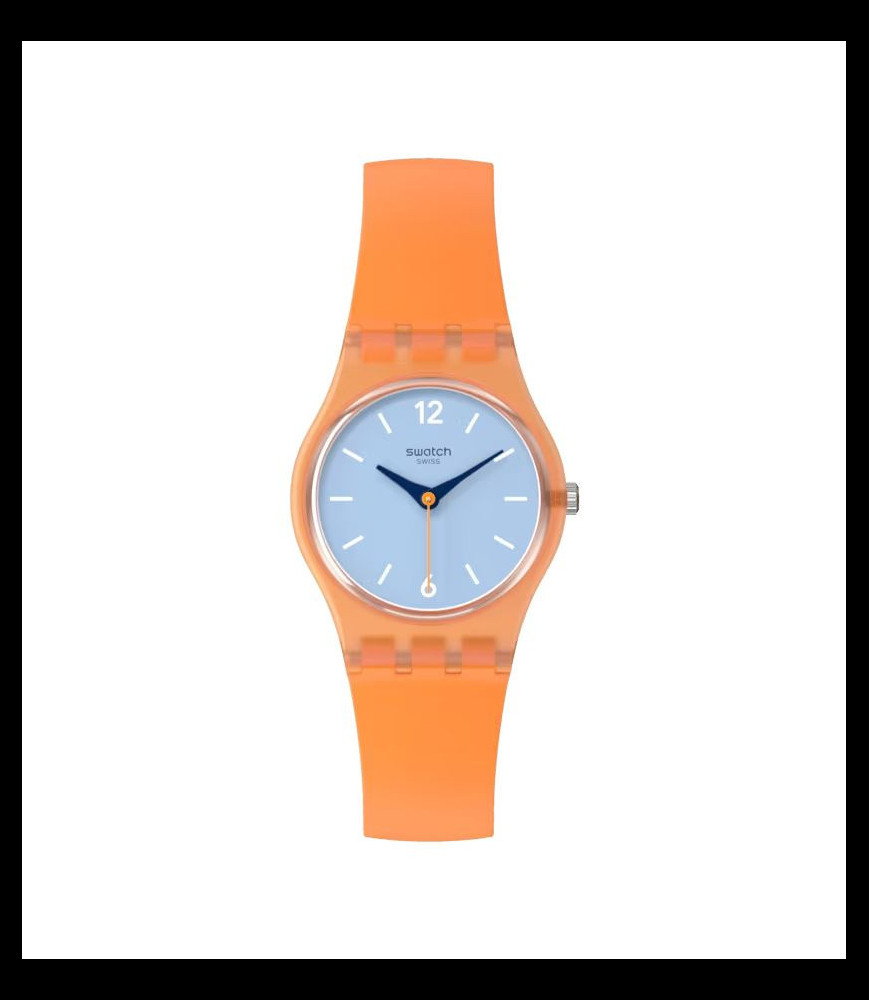 SWATCH VIEW FROM A MESA
