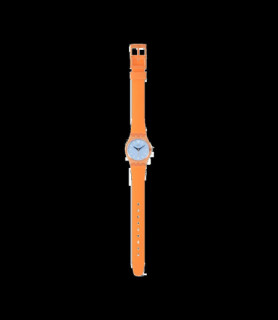 SWATCH VIEW FROM A MESA