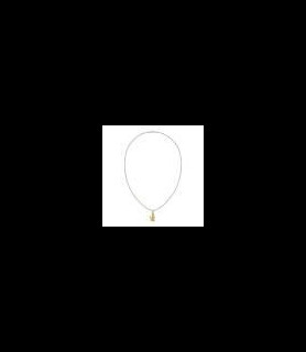 LACOSTE Collier mixte Lacoste Arthor - 2040551 Acier Doré