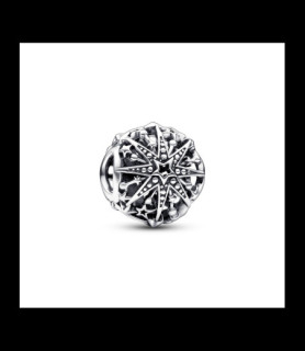 PANDORA Charm Pandora Moments en Argent
