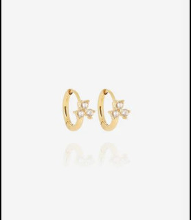ZAG BIJOUX Boucles d oreilles acier doré ox zirconium