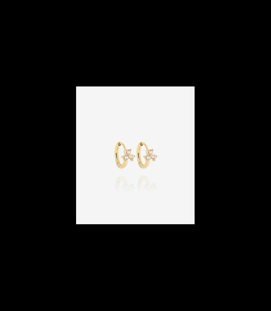 ZAG BIJOUX Boucles d oreilles acier doré ox zirconium