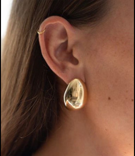 ZAG BIJOUX Boucles d oreilles acier doré