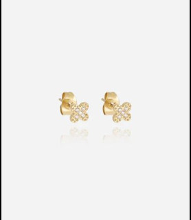 ZAG BIJOUX Boucles d oreilles acier doré