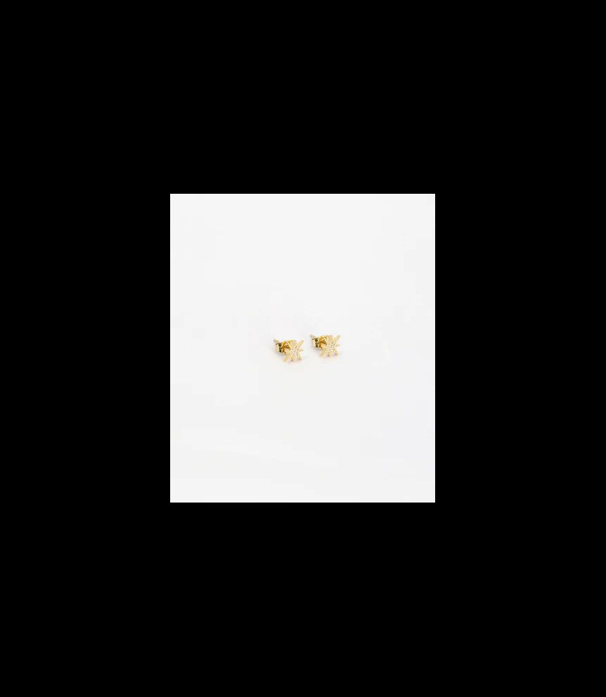 ZAG BIJOUX boucles d oreilles acier doré étoiles