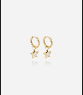 ZAG BIJOUX Boucles d oreilles acier doré