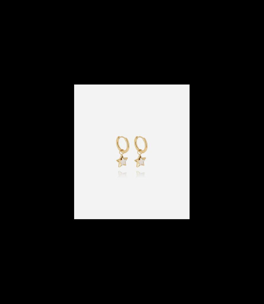 ZAG BIJOUX Boucles d oreilles acier doré