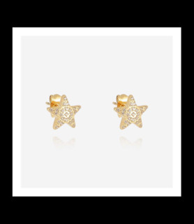 ZAG BIJOUX Boucles d oreilles acier doré