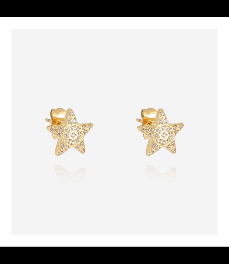 ZAG BIJOUX Boucles d oreilles acier doré