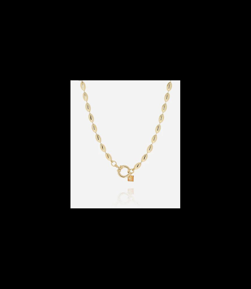 ZAG BIJOUX Collier acier doré  39cm