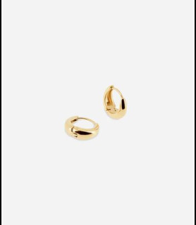 ZAG BIJOUX Boucles d oreilles acier doré  joe