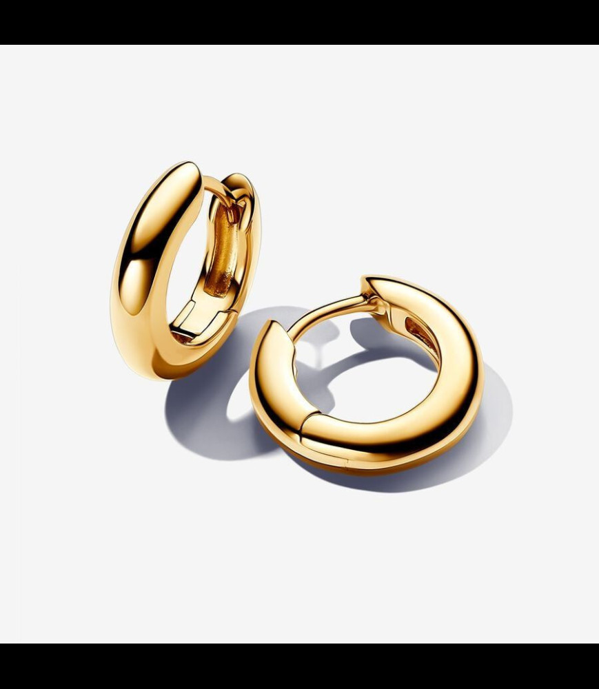 PANDORA Boucles d'Oreilles Créoles Rondes