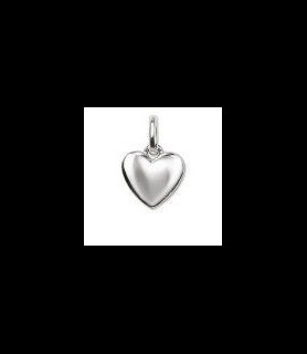 THOMAS SABO Pendentif Femme Thomas Sabo PE558-001-12 (1 cm)