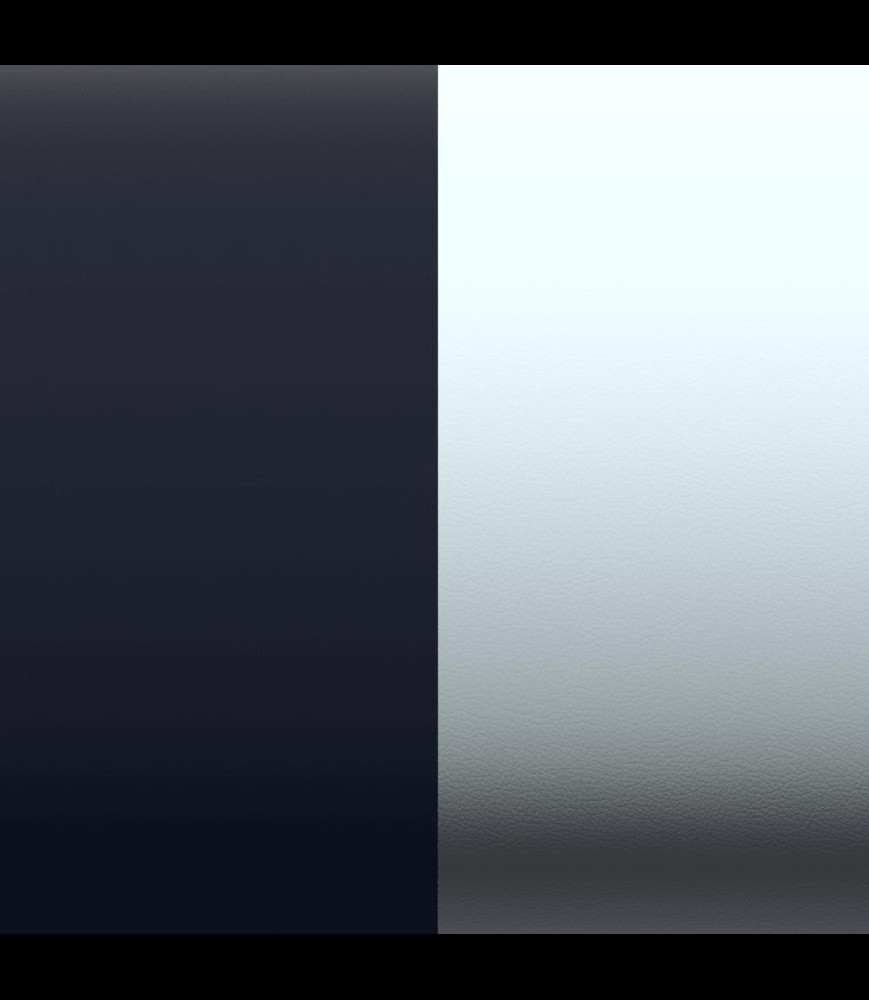 LES GEORGETTES CUIR BAGUE MARINE MAT/RUTHENIUM 8MM