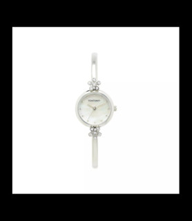 MONTRE FONTENAY IRIS FEMME EN ACIER FPA00106